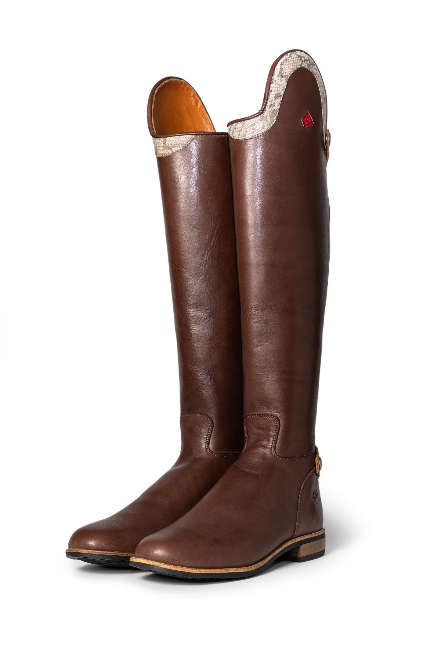 Mudiwa Snake Print Ladies Long Riding Boot - Hello Quality Collection